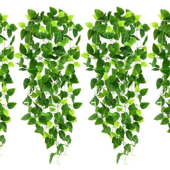 Uzun Yapraklı Çiçek