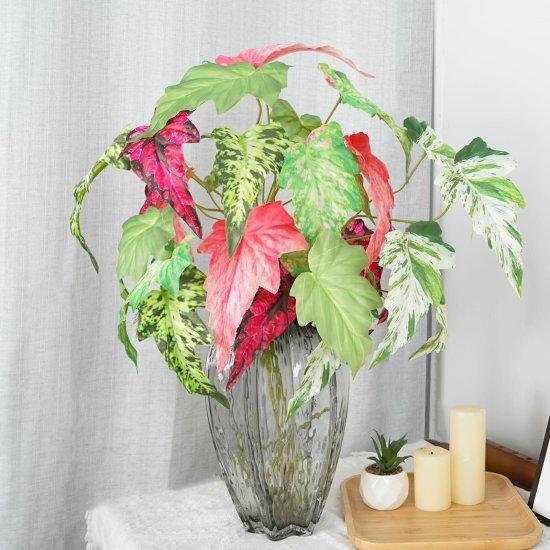 Uzun Yapraklı Çiçek