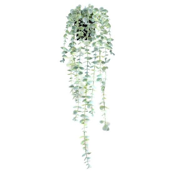 Uzun Yapraklı Çiçek