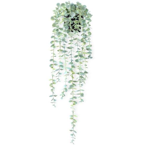 Uzun Yapraklı Çiçek