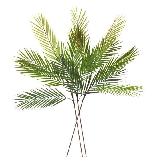 Uzun Yapraklı Çiçek