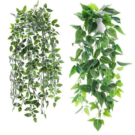 Uzun Yapraklı Çiçek