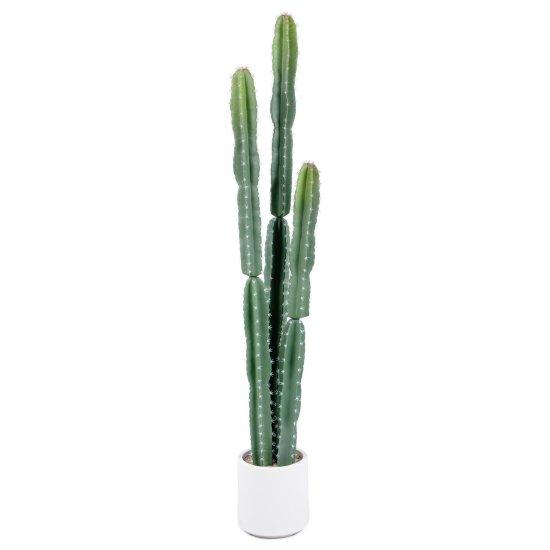 Yapay Kaktüs Büyük