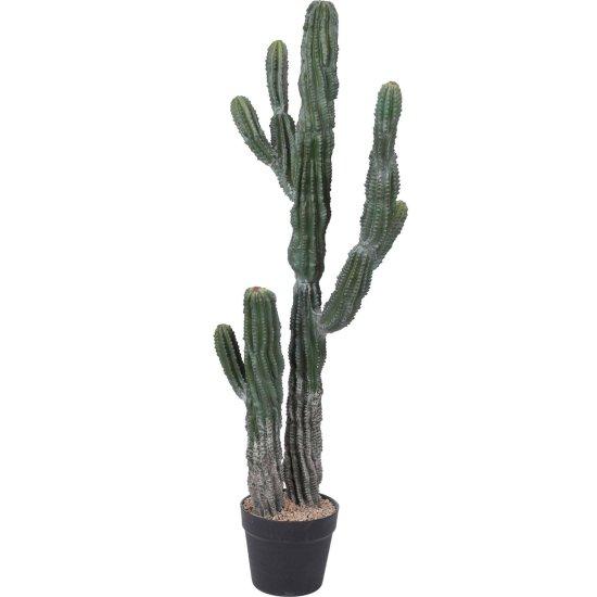 Yapay Kaktüs Büyük