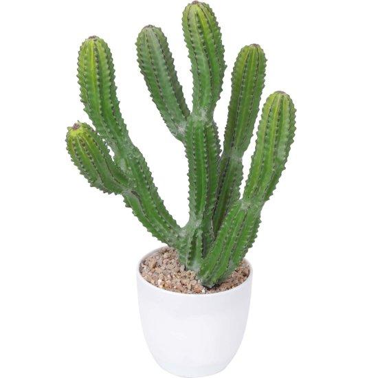 Yapay Kaktüs Büyük