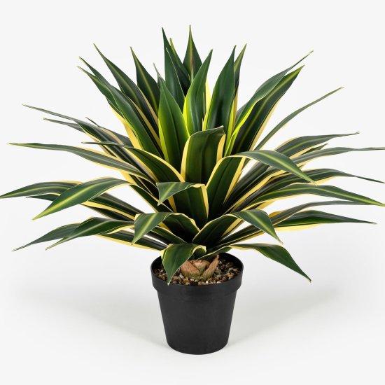 Yapay Kaktüs Büyük