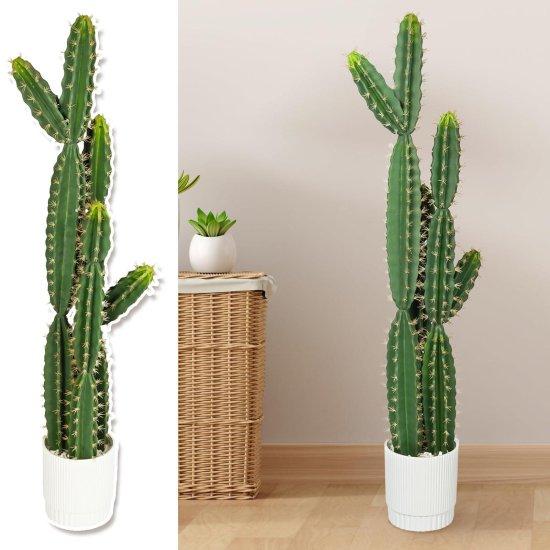 Yapay Kaktüs Büyük