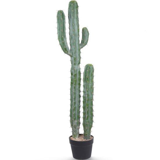 Yapay Kaktüs Büyük