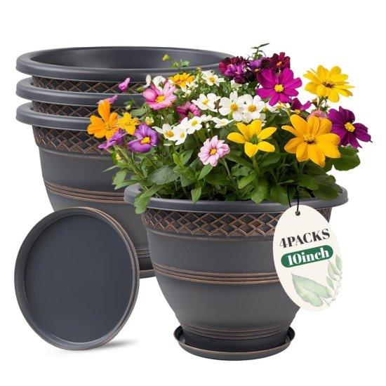 10 Litre Saksı