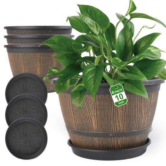 10 Litre Saksı