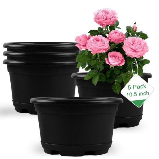 10 Litre Saksı