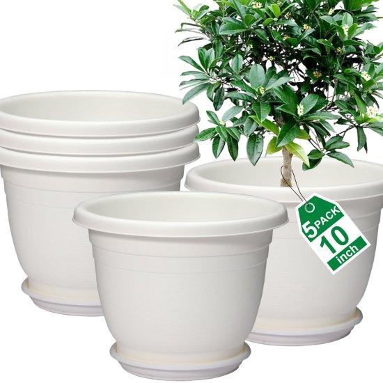 10 Litre Saksı