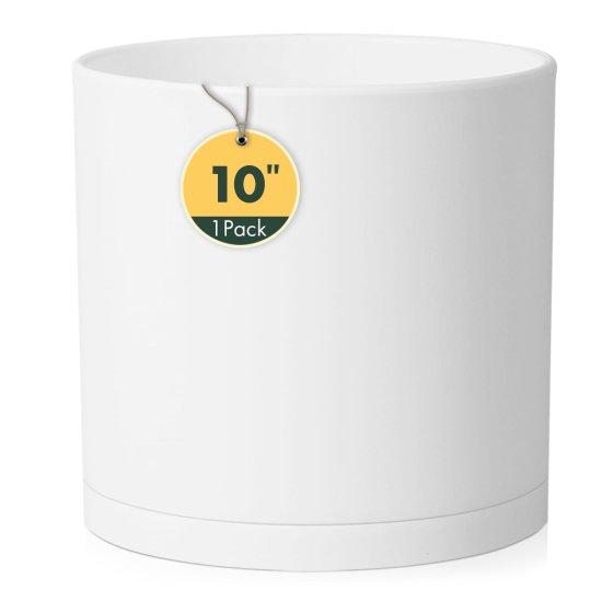 10 Litre Saksı