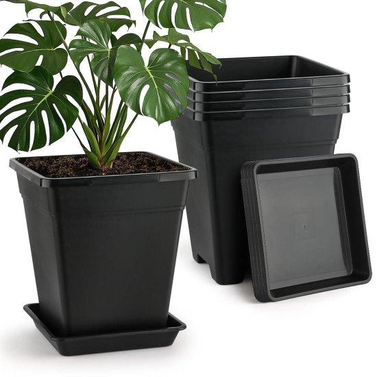 10 Litre Saksı