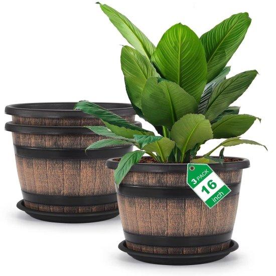 15 Litre Saksı