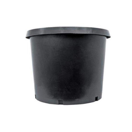 25 Litre Saksı