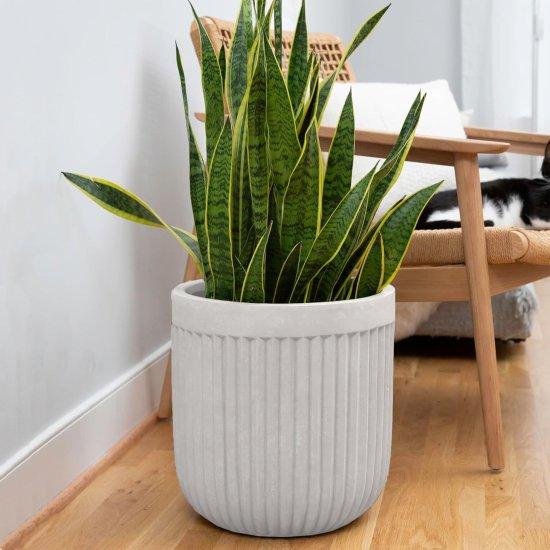 25 Litre Saksı