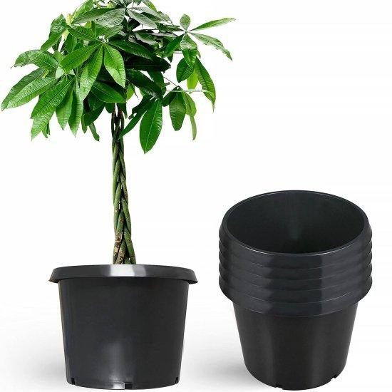 25 Litre Saksı