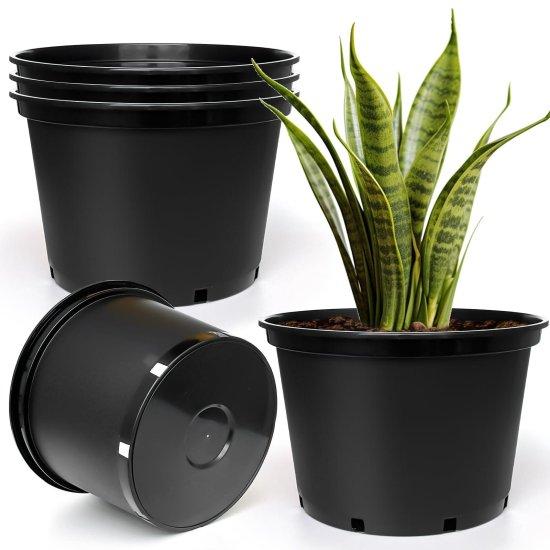 25 Litre Saksı