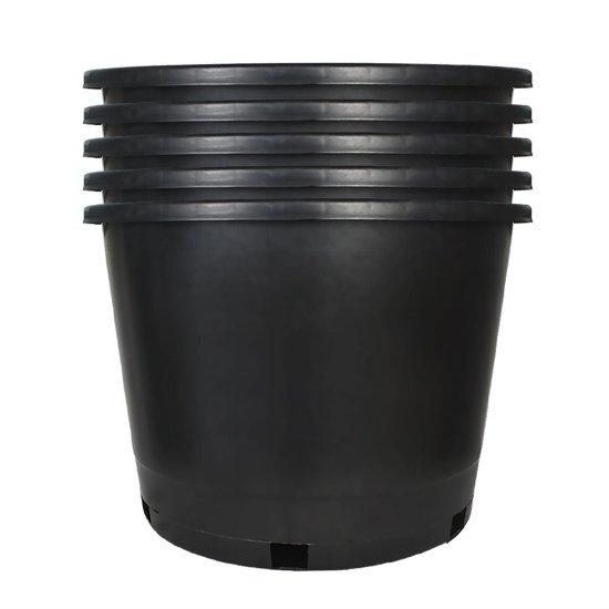 25 Litre Saksı