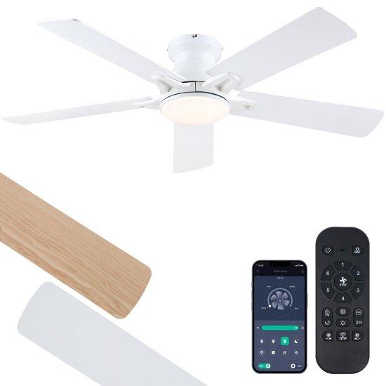 5 Kanatlı Tavan Vantilatör