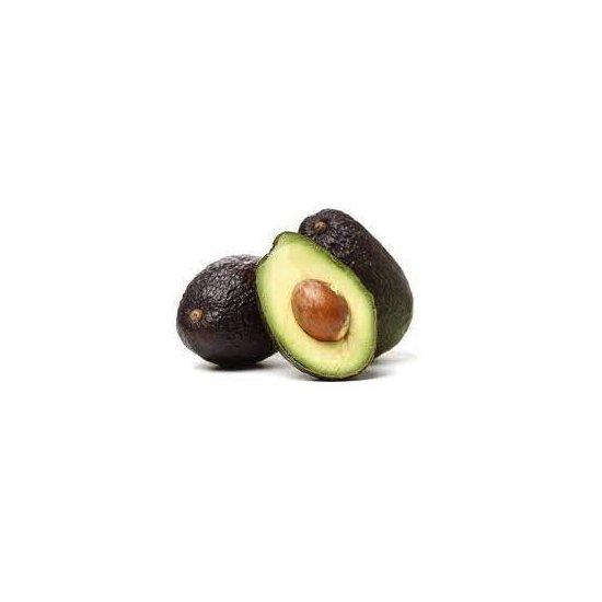 Avokado Ağacı