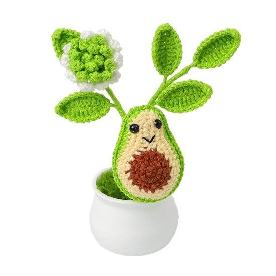 Avokado Ağacı