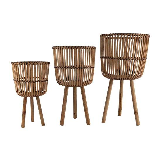 Bambu Saksısı