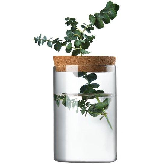 Bambu Saksısı