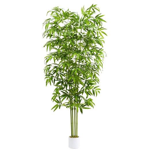 Bambu Saksısı
