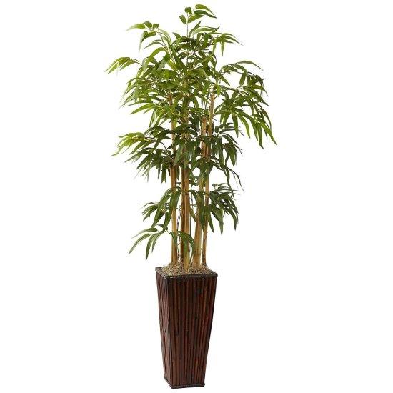 Bambu Saksısı
