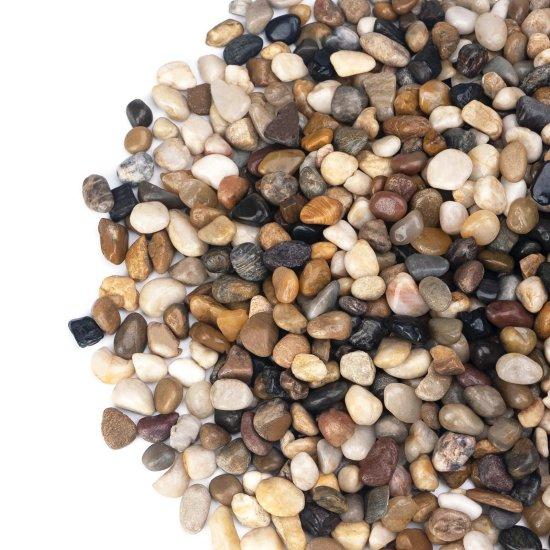 Bambu Saksısı