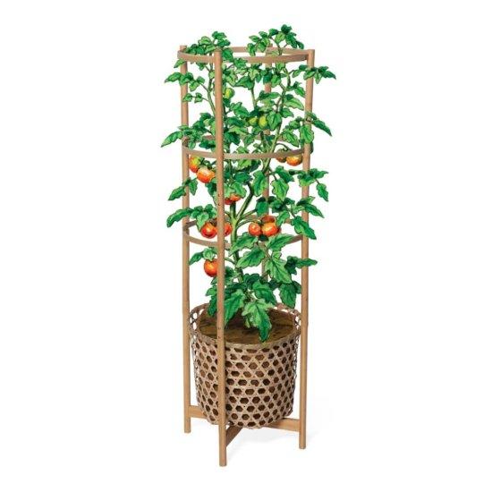 Bambu Saksısı