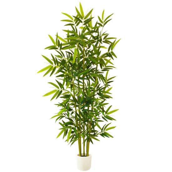 Bambu Saksısı