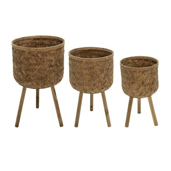 Bambu Saksısı