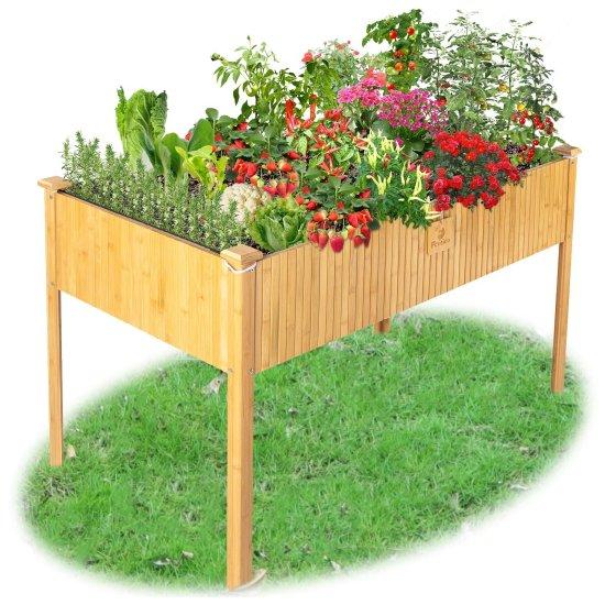 Bambu Saksısı