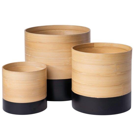 Bambu Saksısı