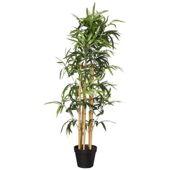 Bambu Saksısı