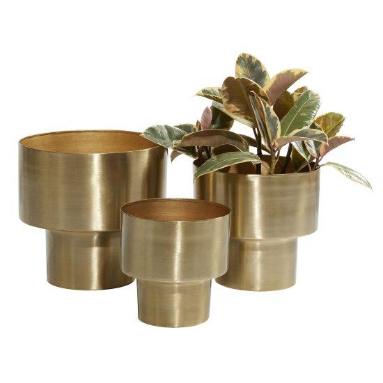 Gold Saksı