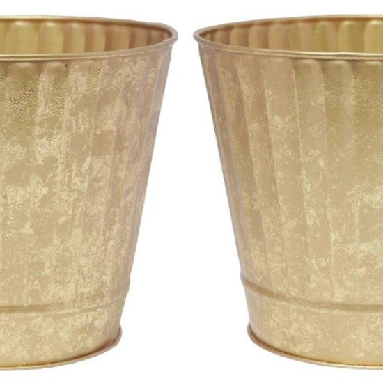 Gold Saksı