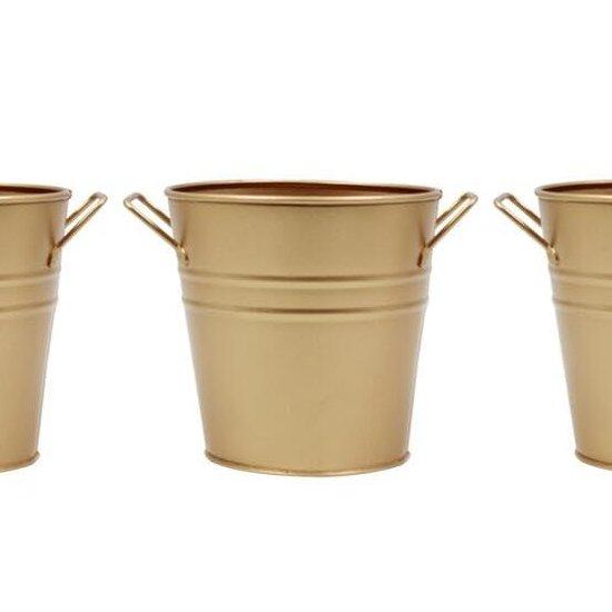 Gold Saksı