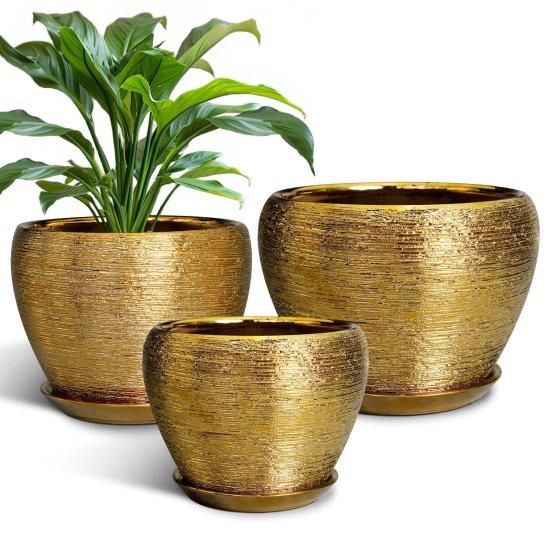 Gold Saksı