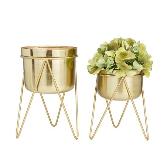 Gold Saksı