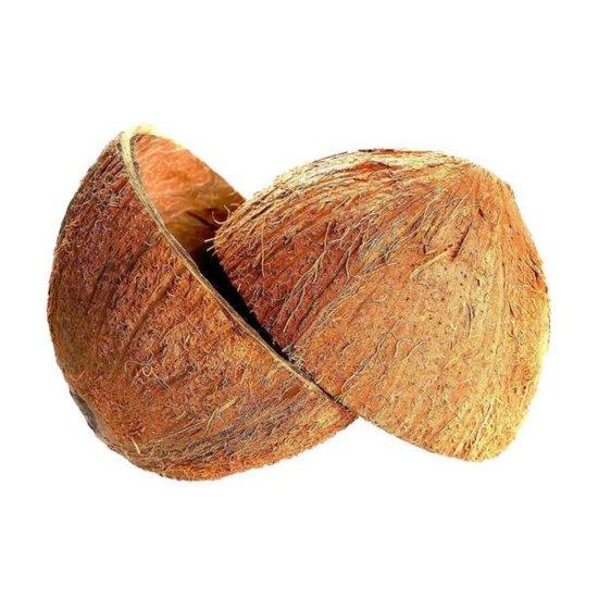 Hindistan Cevizi Kase