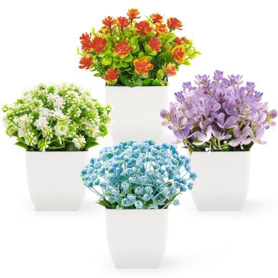 Küçük Saksı Çiçekleri