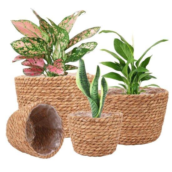 Rattan Saksılık