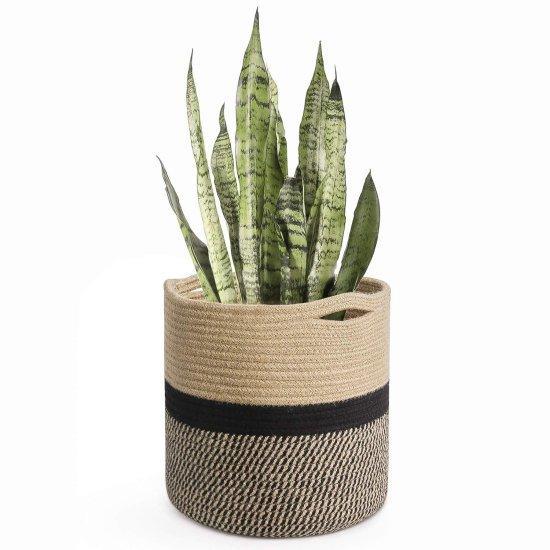 Rattan Saksılık