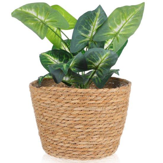 Rattan Saksılık