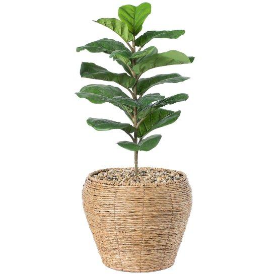 Rattan Saksılık