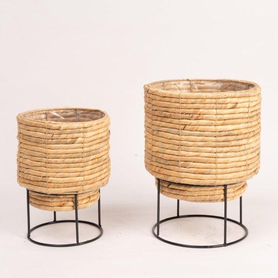 Rattan Saksılık
